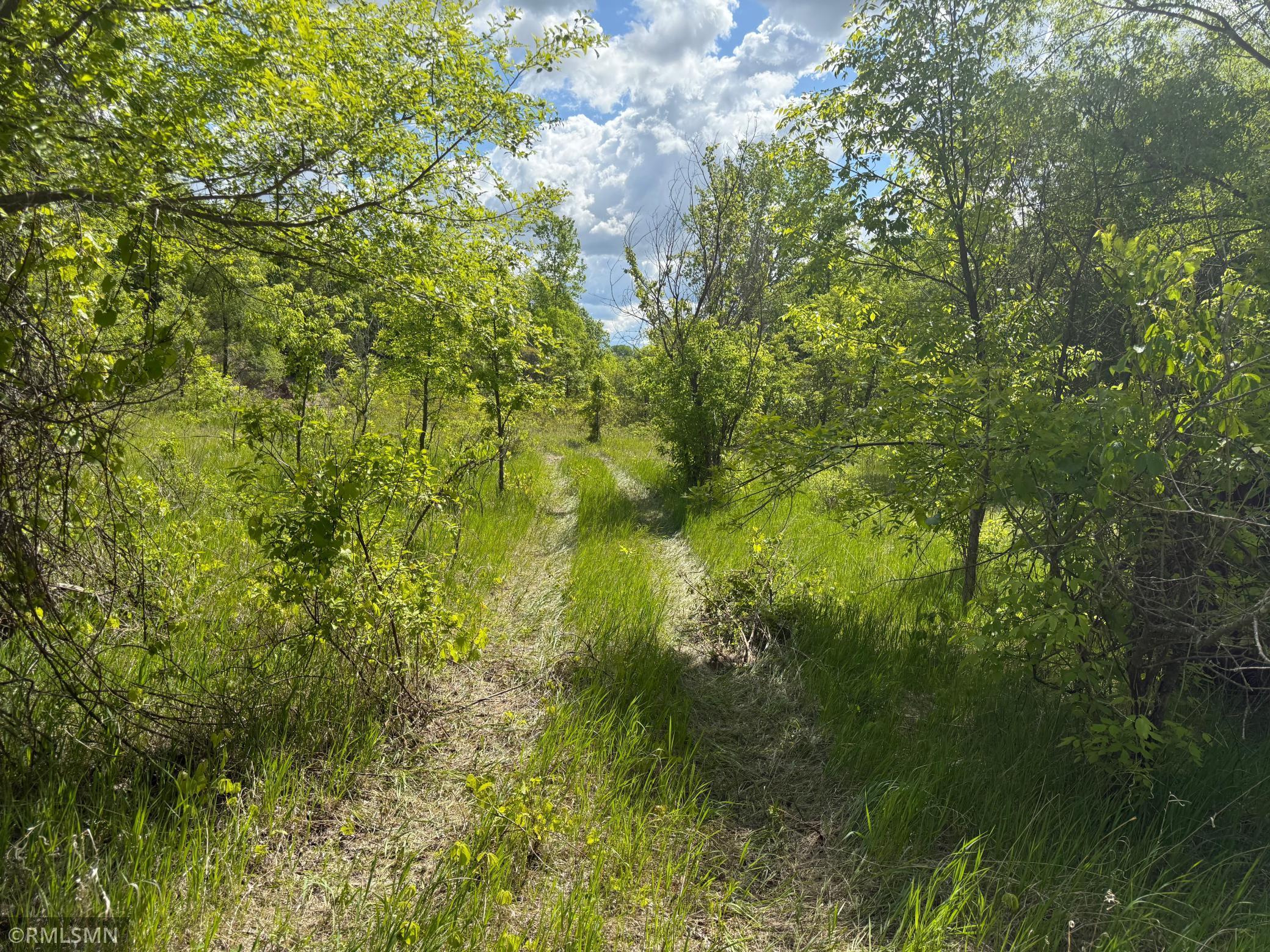 Tbd 4th Street Northeast Hanover, MN 55341 - Photo 3 of 8