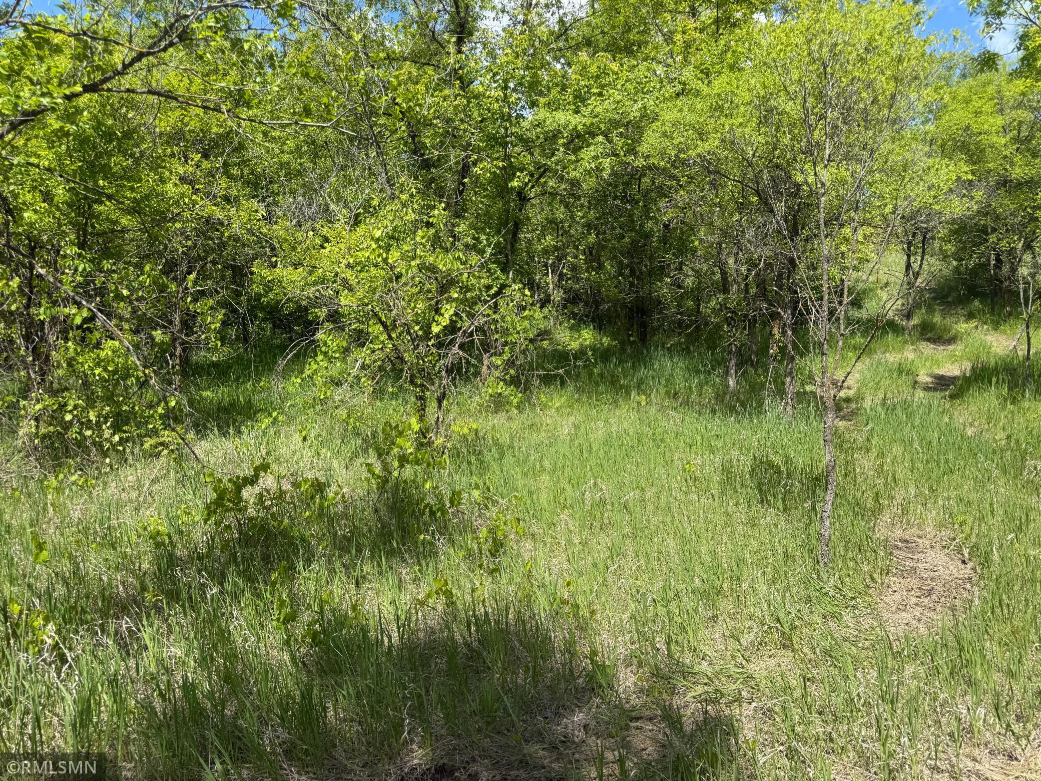 Tbd 4th Street Northeast Hanover, MN 55341 - Photo 4 of 8