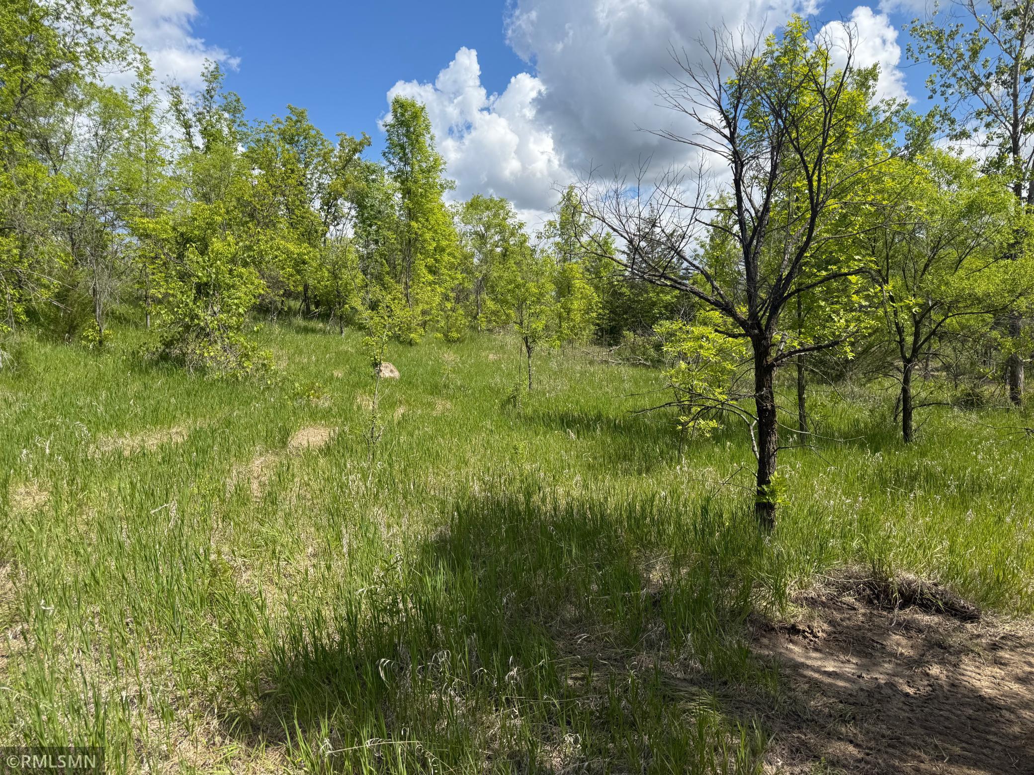 Tbd 4th Street Northeast Hanover, MN 55341 - Photo 5 of 8