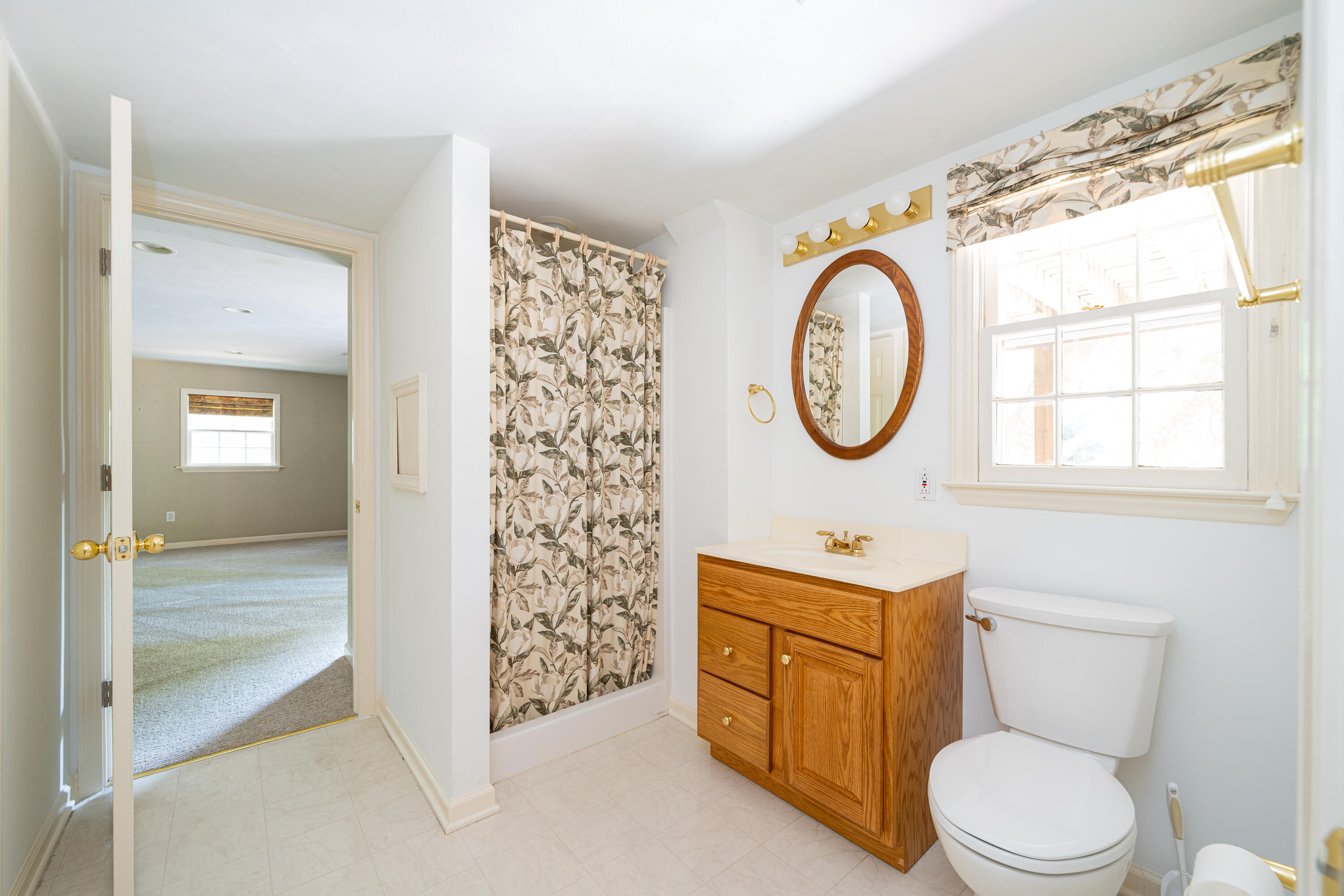 803 Red Lane Salem, VA 24153 - Photo 17 of 24 a bathroom with a toilet a sink a mirror a vanity and a window