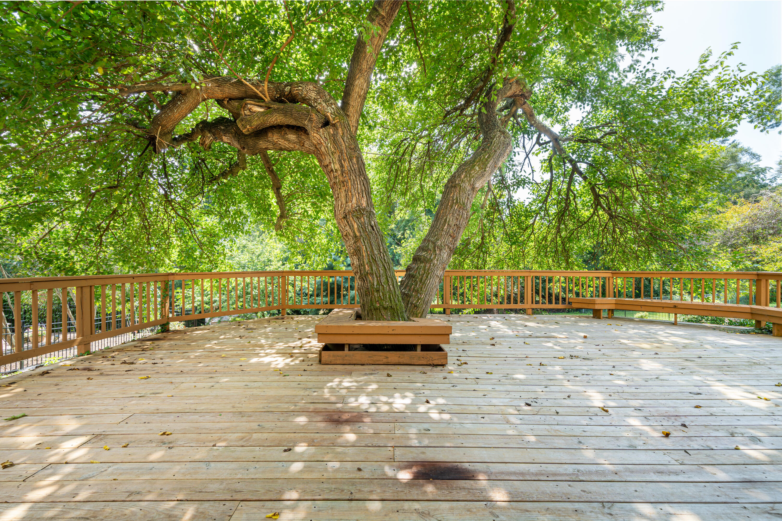 803 Red Lane Salem, VA 24153 - Photo 20 of 24 a view of a yard with wooden fence