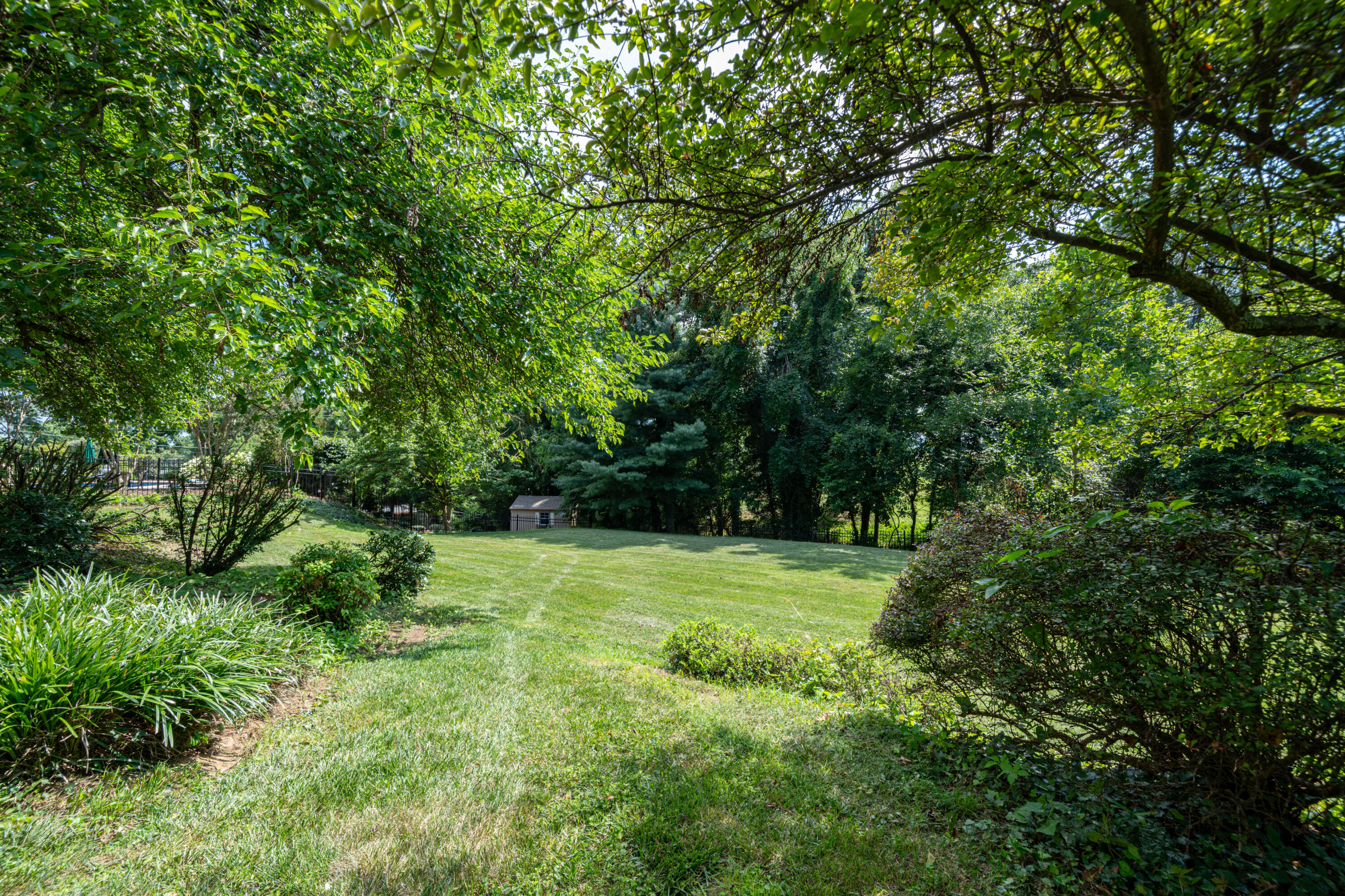 803 Red Lane Salem, VA 24153 - Photo 21 of 24 a view of outdoor space and yard
