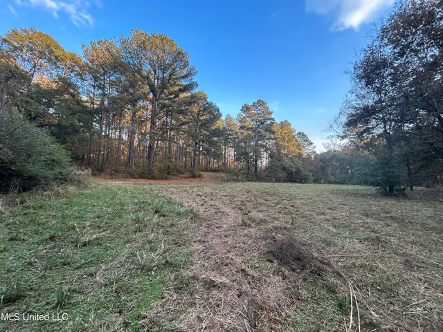 $350,000 | 4024 Old Mill Road, Osyka, MS 39657