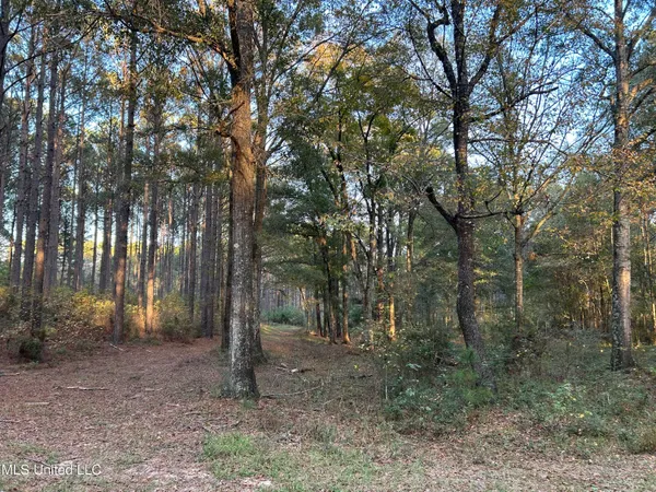 $350,000 | 4024 Old Mill Road, Osyka, MS 39657