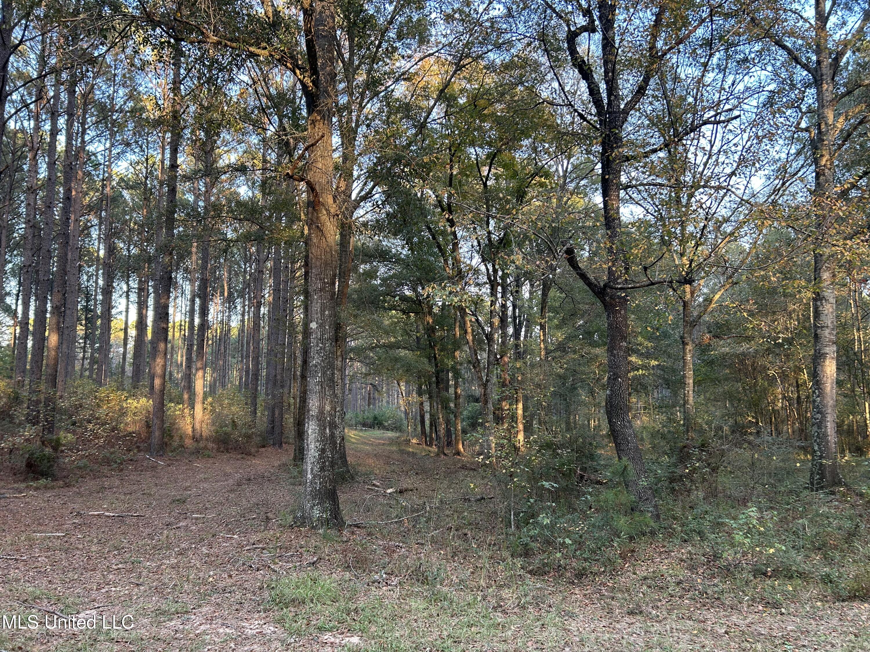 4024 Old Mill Road Osyka, MS 39657 - Photo 11 of 76 IMG_1040