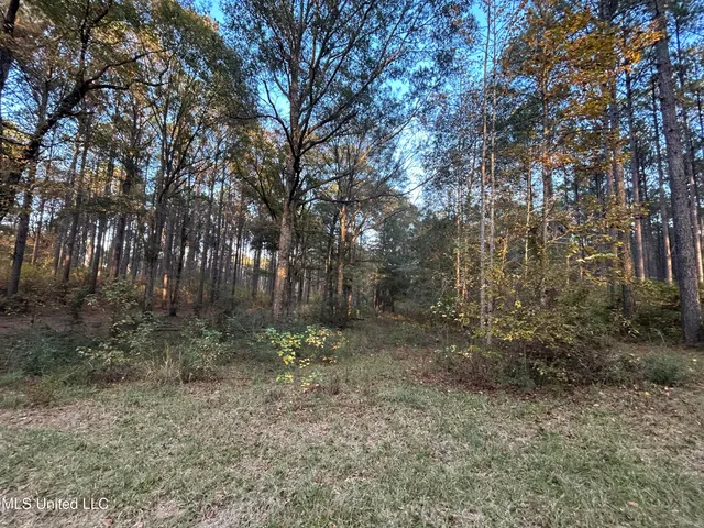 $350,000 | 4024 Old Mill Road, Osyka, MS 39657