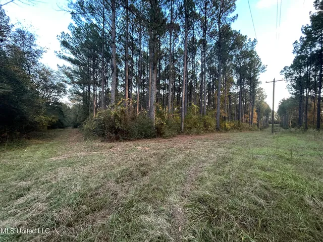 $350,000 | 4024 Old Mill Road, Osyka, MS 39657
