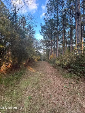 $350,000 | 4024 Old Mill Road, Osyka, MS 39657