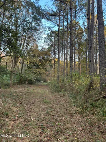 $350,000 | 4024 Old Mill Road, Osyka, MS 39657