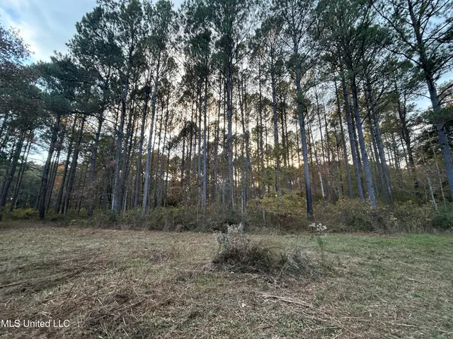 $350,000 | 4024 Old Mill Road, Osyka, MS 39657