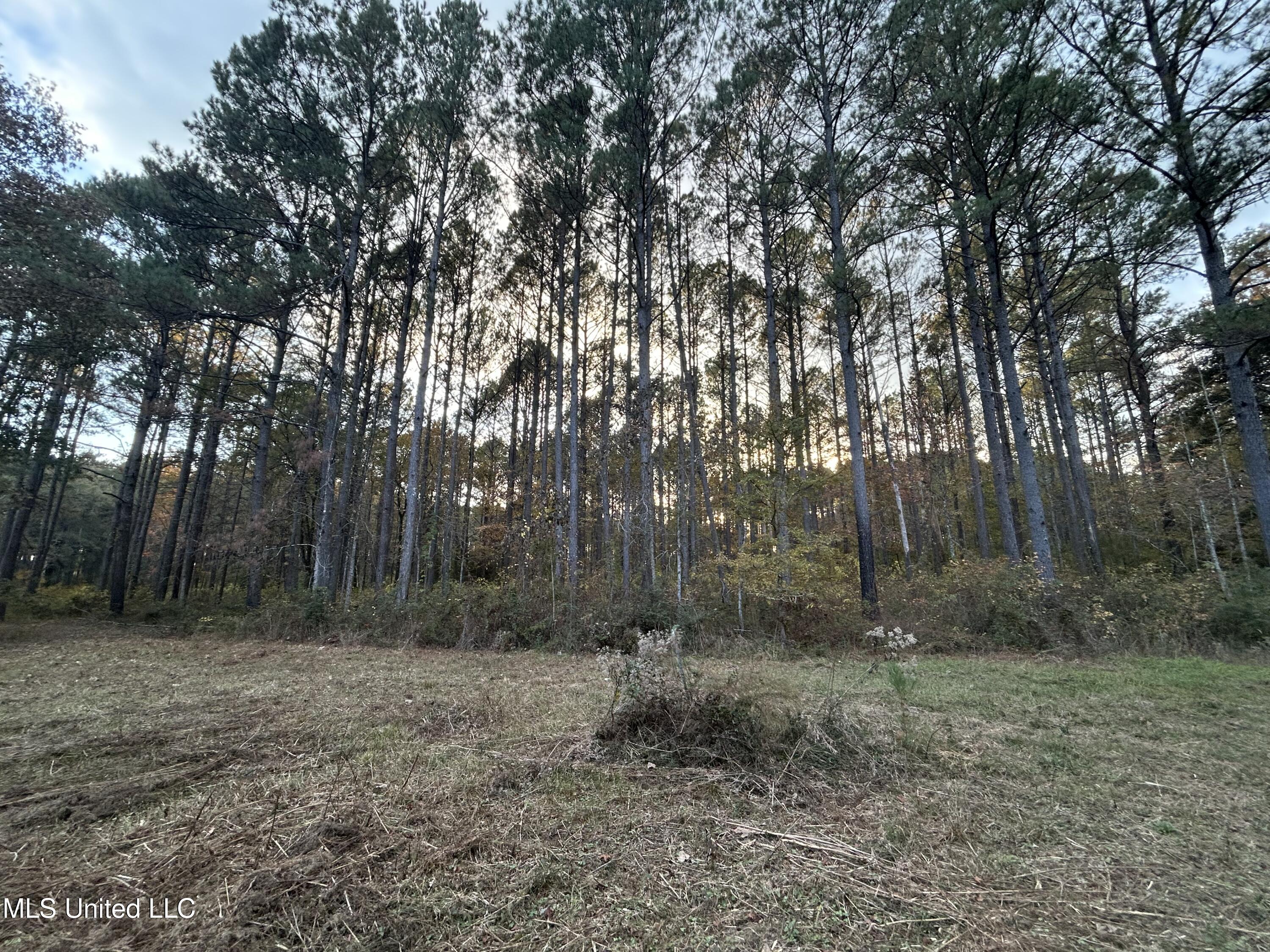 4024 Old Mill Road Osyka, MS 39657 - Photo 18 of 76 IMG_1058