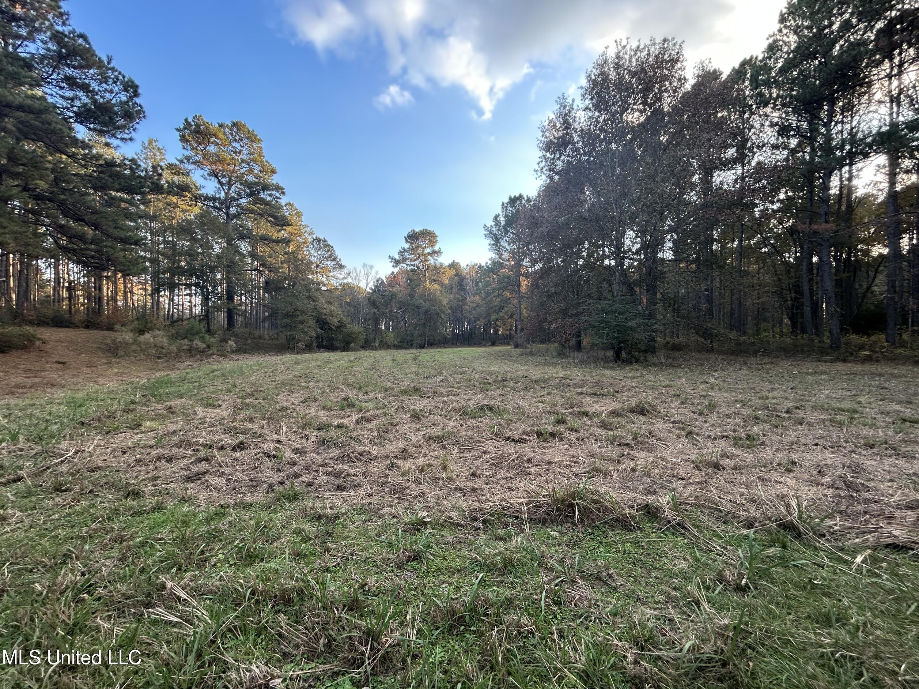 4024 Old Mill Road Osyka, MS 39657 - Photo 19 of 76 IMG_1065