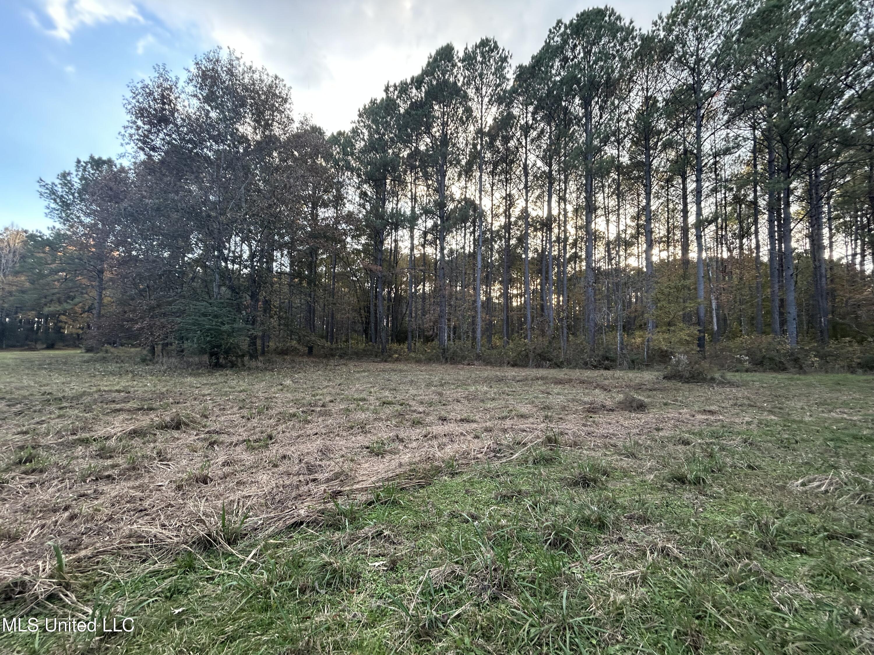 4024 Old Mill Road Osyka, MS 39657 - Photo 20 of 76 IMG_1067