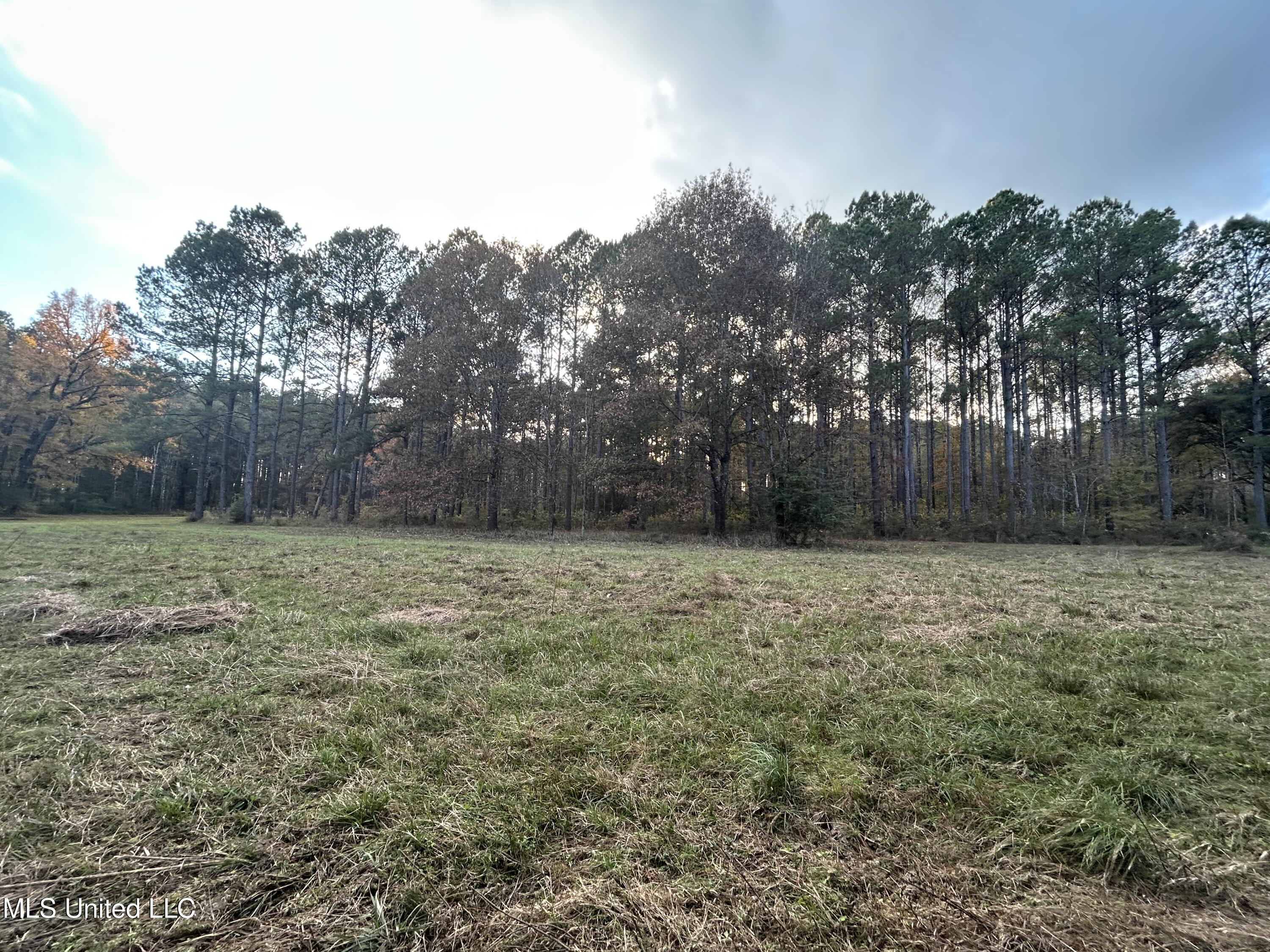 4024 Old Mill Road Osyka, MS 39657 - Photo 21 of 76 IMG_1070