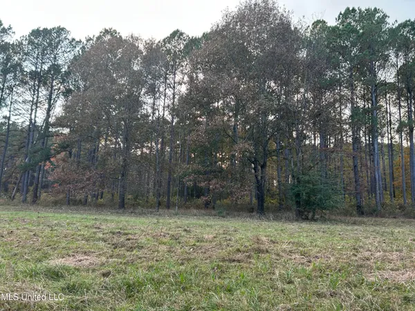 $350,000 | 4024 Old Mill Road, Osyka, MS 39657