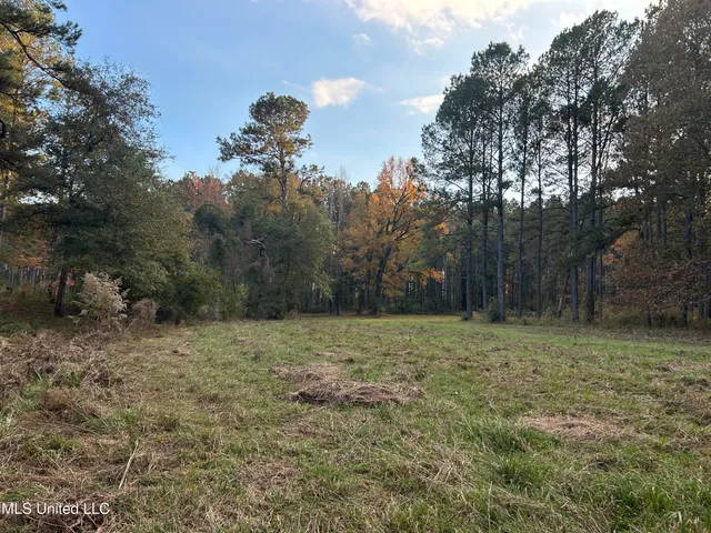 $350,000 | 4024 Old Mill Road, Osyka, MS 39657