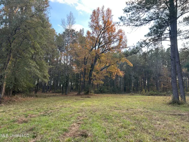 $350,000 | 4024 Old Mill Road, Osyka, MS 39657
