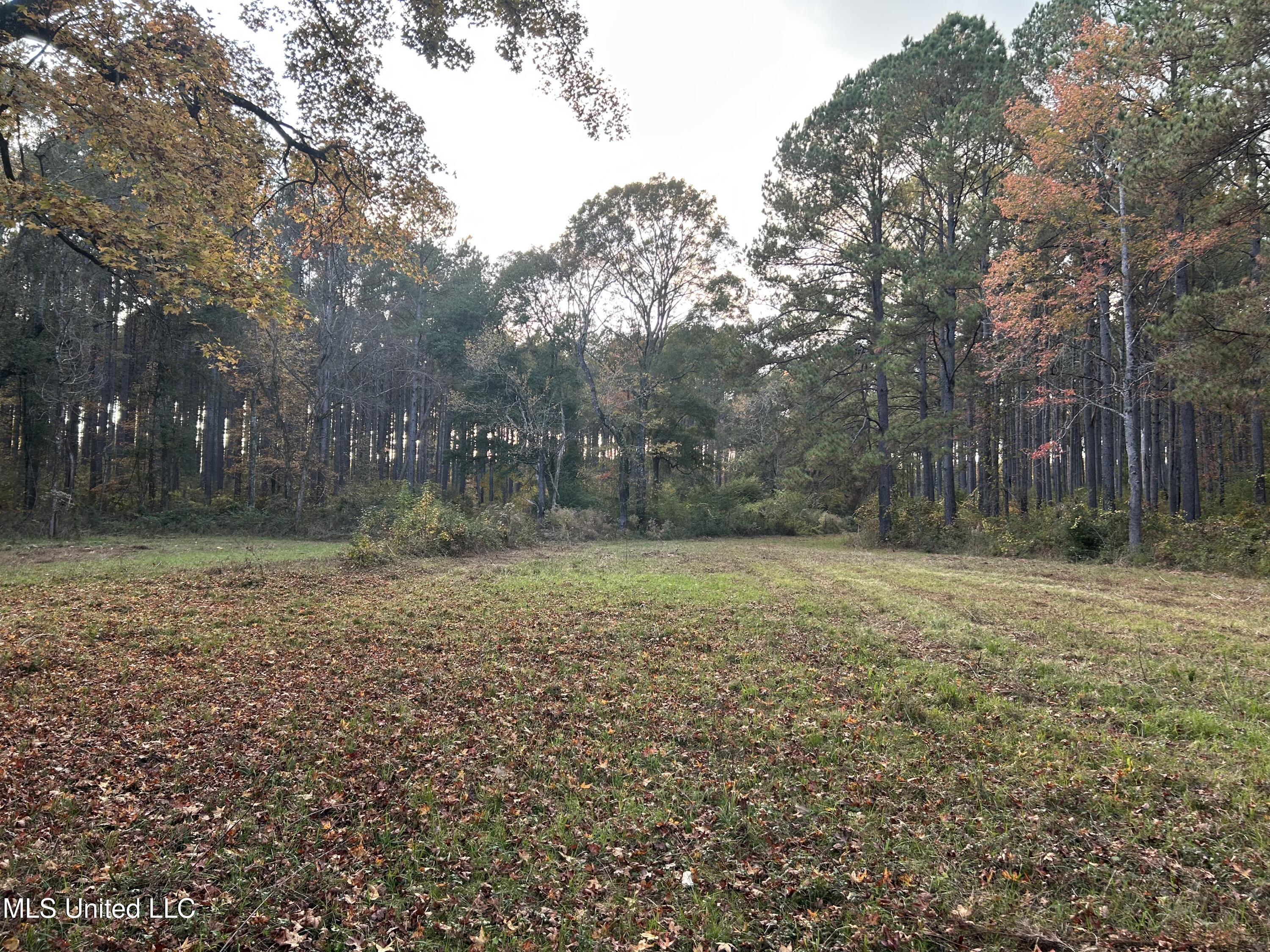 4024 Old Mill Road Osyka, MS 39657 - Photo 25 of 76 IMG_1080