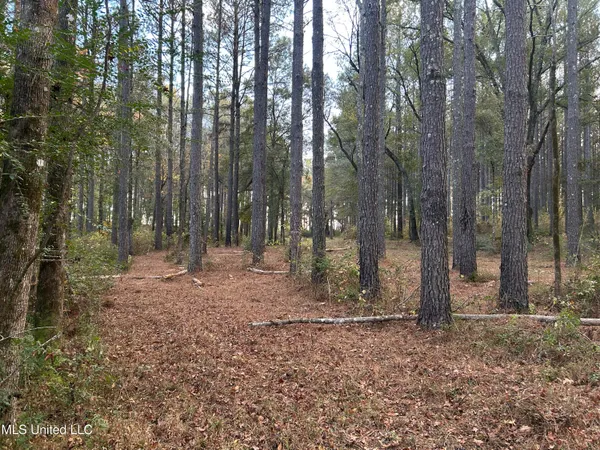$350,000 | 4024 Old Mill Road, Osyka, MS 39657