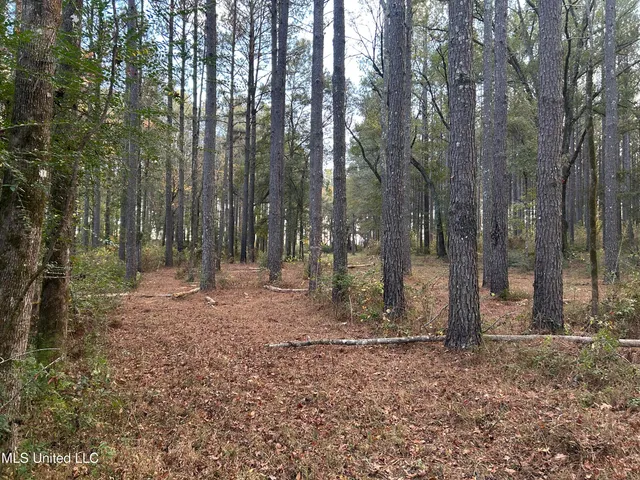 $350,000 | 4024 Old Mill Road, Osyka, MS 39657