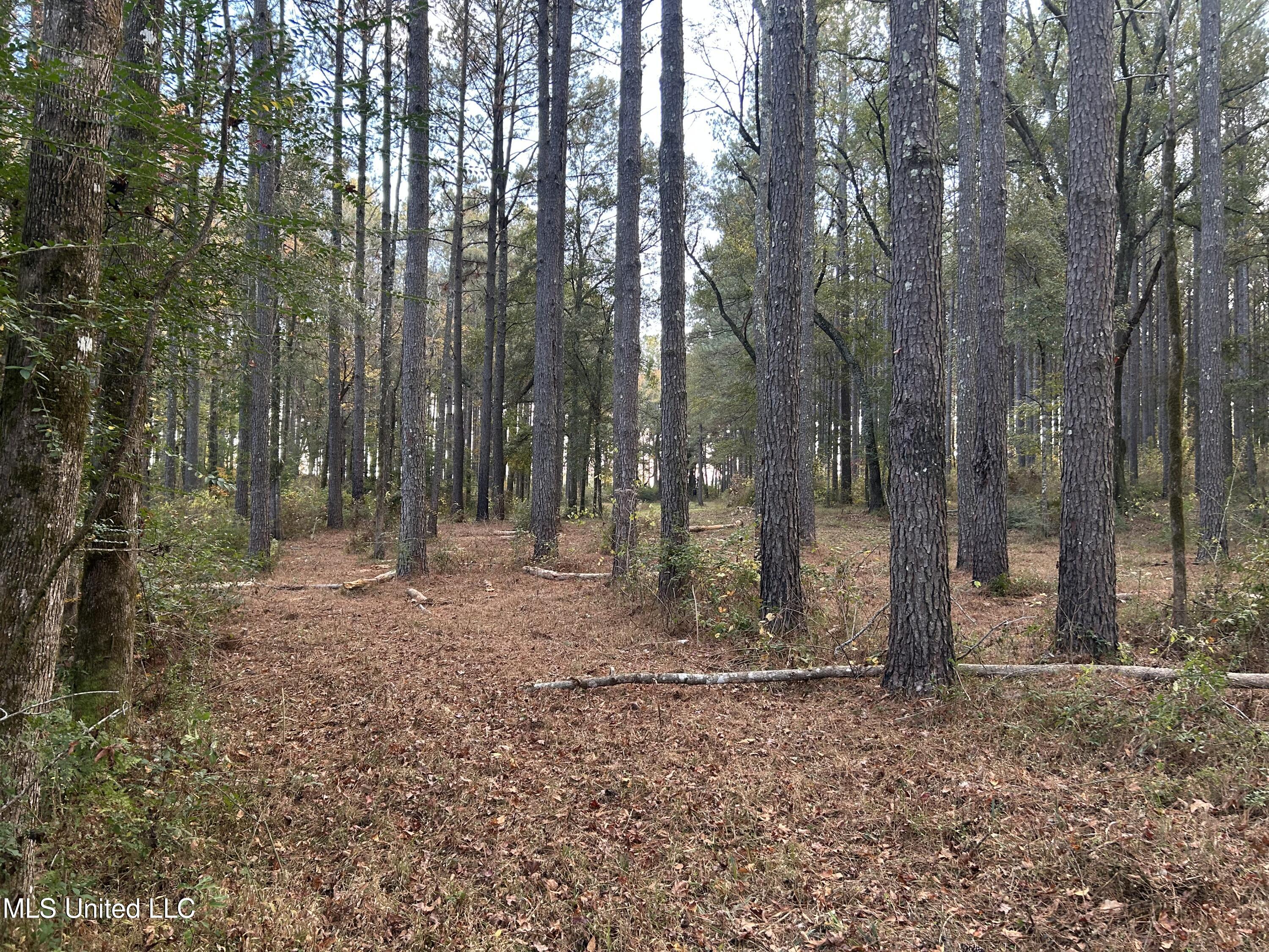 4024 Old Mill Road Osyka, MS 39657 - Photo 28 of 76 IMG_1084