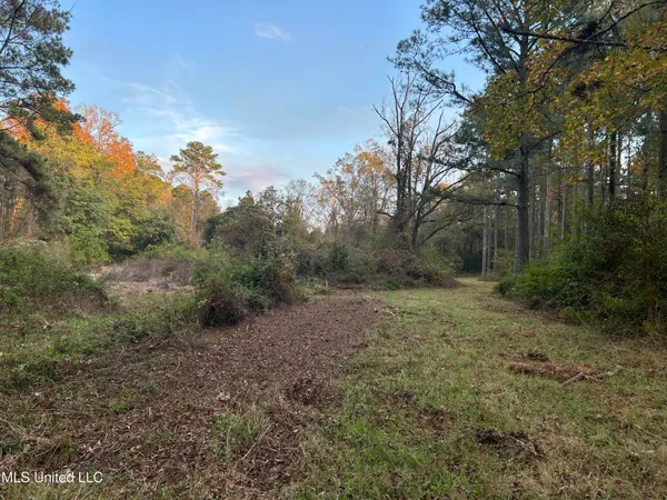 $350,000 | 4024 Old Mill Road, Osyka, MS 39657