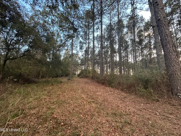 $350,000 | 4024 Old Mill Road, Osyka, MS 39657