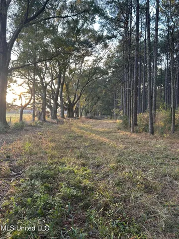 $350,000 | 4024 Old Mill Road, Osyka, MS 39657