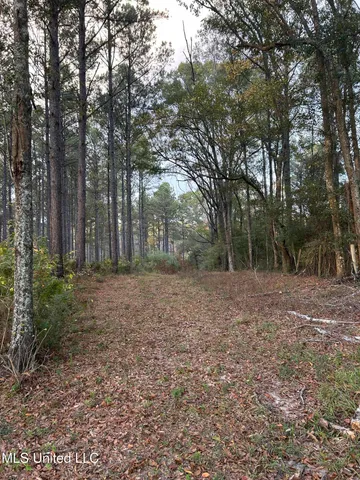 $350,000 | 4024 Old Mill Road, Osyka, MS 39657
