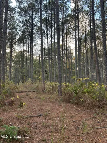 $350,000 | 4024 Old Mill Road, Osyka, MS 39657