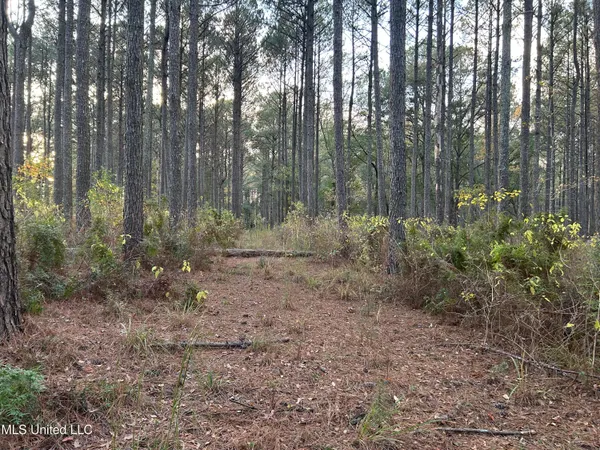 $350,000 | 4024 Old Mill Road, Osyka, MS 39657