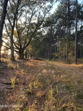 $350,000 | 4024 Old Mill Road, Osyka, MS 39657