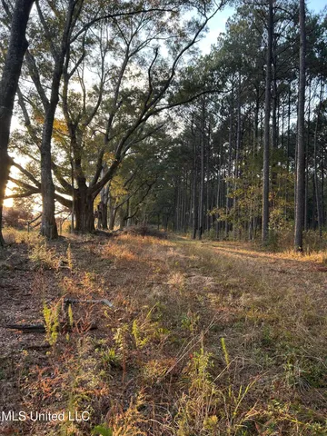 $350,000 | 4024 Old Mill Road, Osyka, MS 39657