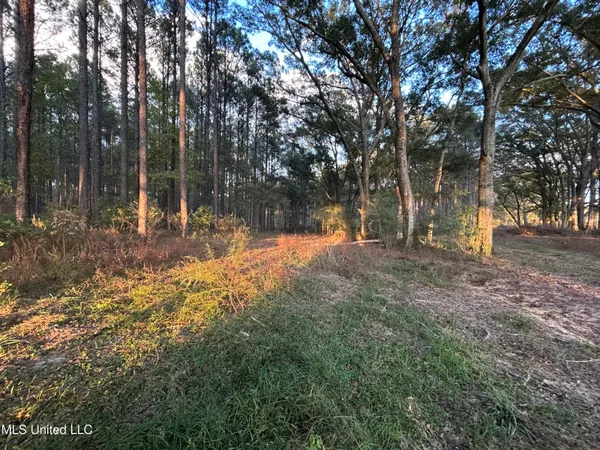 $350,000 | 4024 Old Mill Road, Osyka, MS 39657