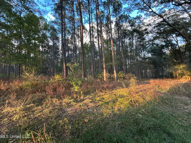 $350,000 | 4024 Old Mill Road, Osyka, MS 39657