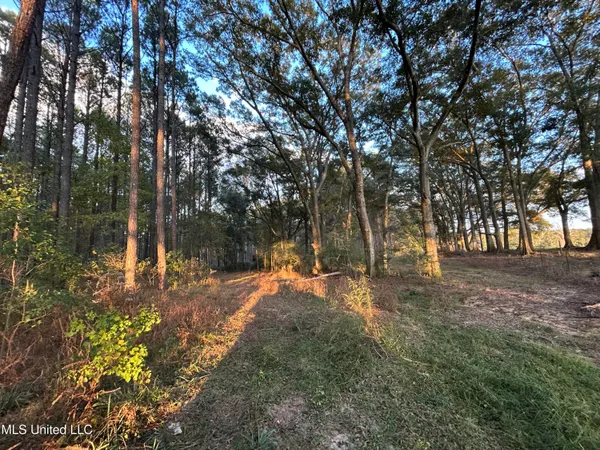 $350,000 | 4024 Old Mill Road, Osyka, MS 39657