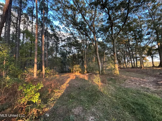 $350,000 | 4024 Old Mill Road, Osyka, MS 39657