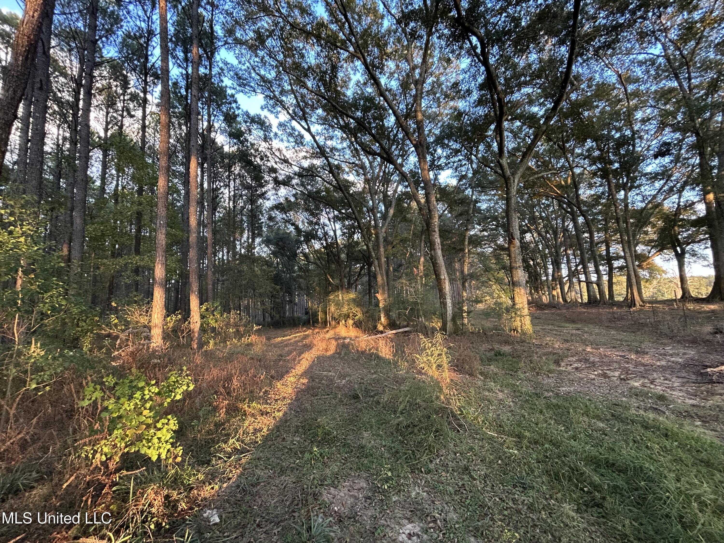 4024 Old Mill Road Osyka, MS 39657 - Photo 38 of 76 IMG_1114