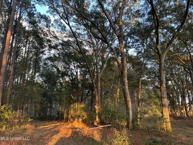 $350,000 | 4024 Old Mill Road, Osyka, MS 39657