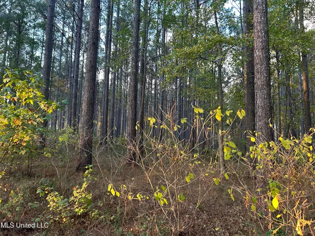 $350,000 | 4024 Old Mill Road, Osyka, MS 39657