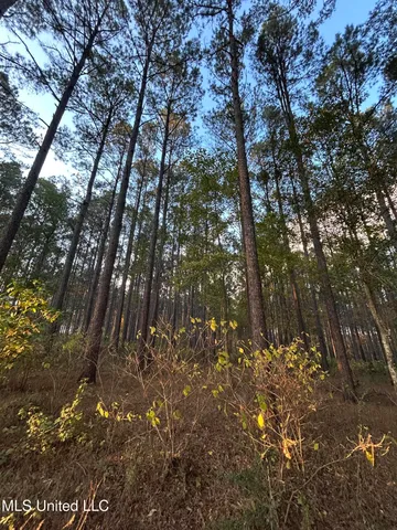 $350,000 | 4024 Old Mill Road, Osyka, MS 39657