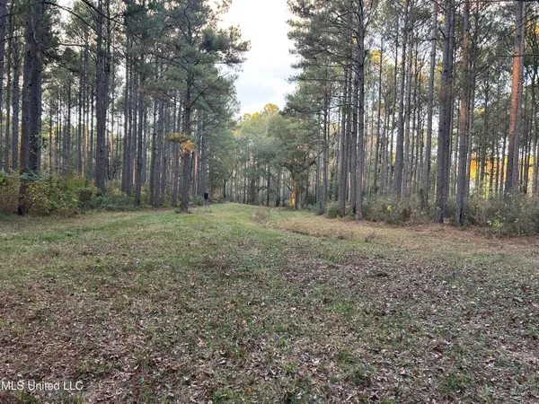 $350,000 | 4024 Old Mill Road, Osyka, MS 39657