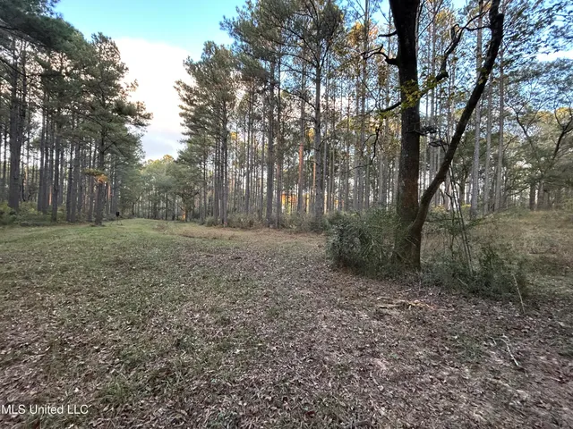 $350,000 | 4024 Old Mill Road, Osyka, MS 39657