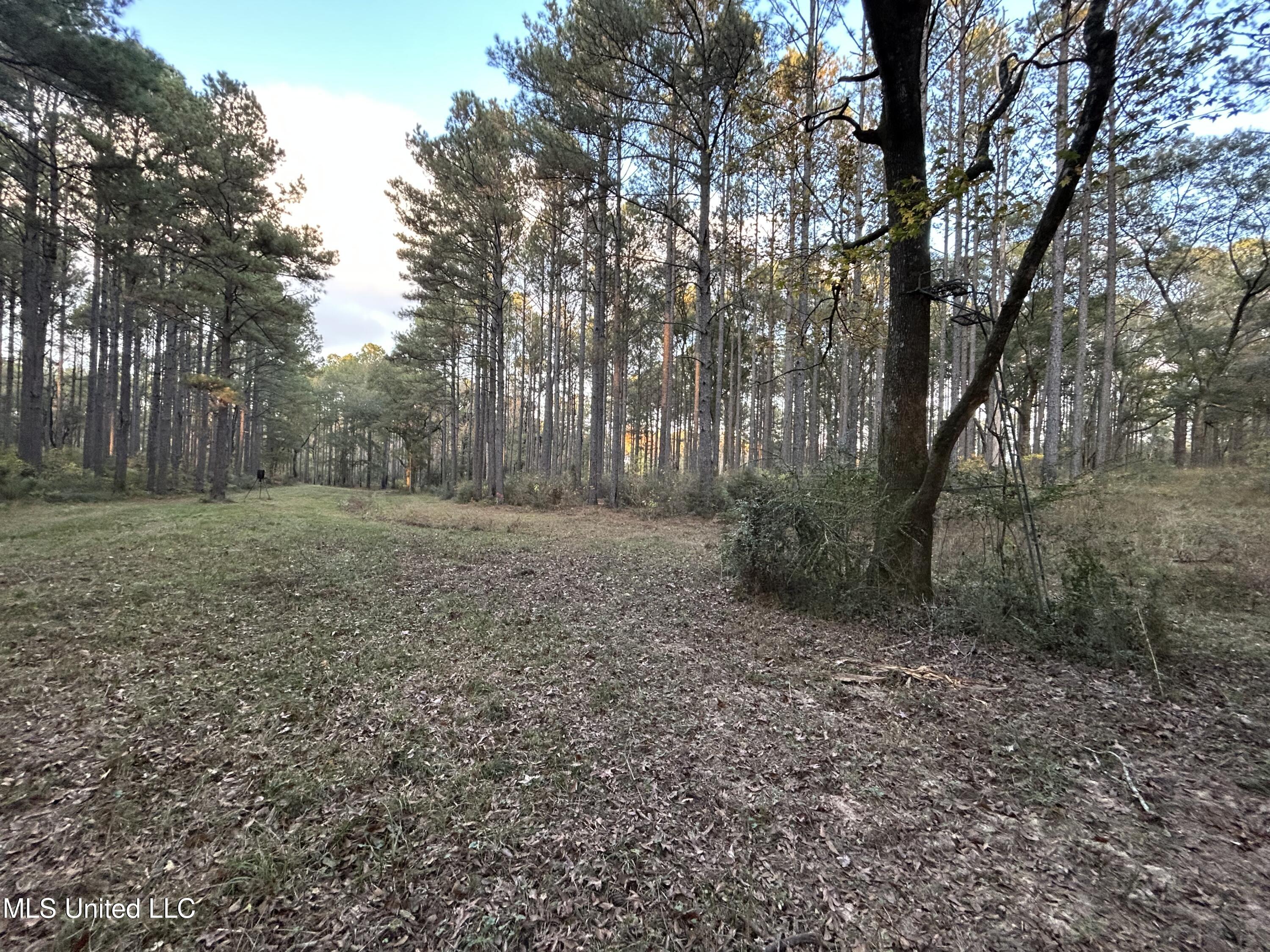 4024 Old Mill Road Osyka, MS 39657 - Photo 43 of 76 IMG_1123