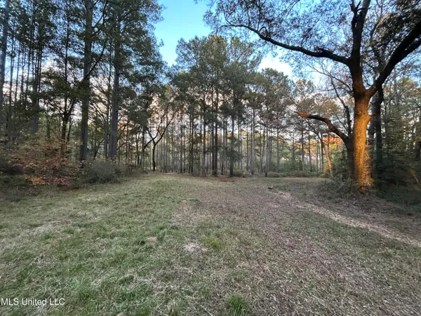 $350,000 | 4024 Old Mill Road, Osyka, MS 39657
