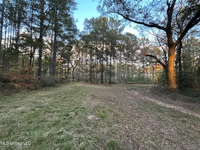 $350,000 | 4024 Old Mill Road, Osyka, MS 39657