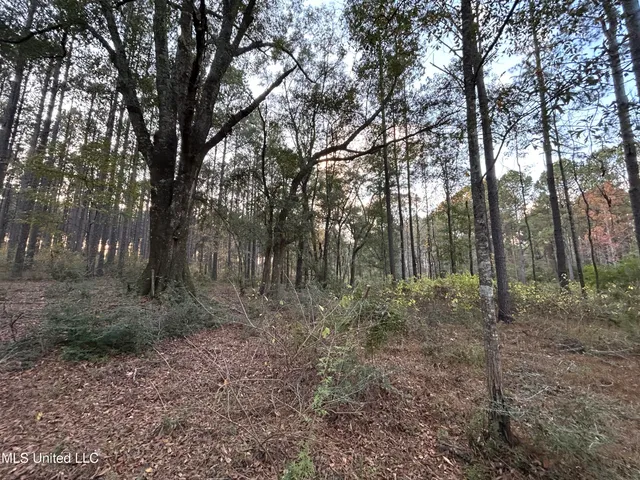 $350,000 | 4024 Old Mill Road, Osyka, MS 39657