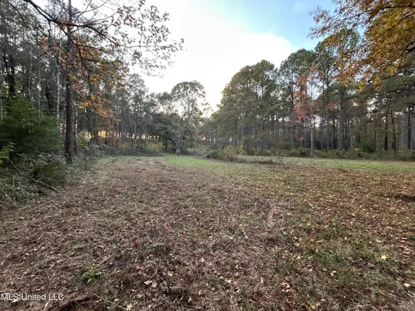 $350,000 | 4024 Old Mill Road, Osyka, MS 39657