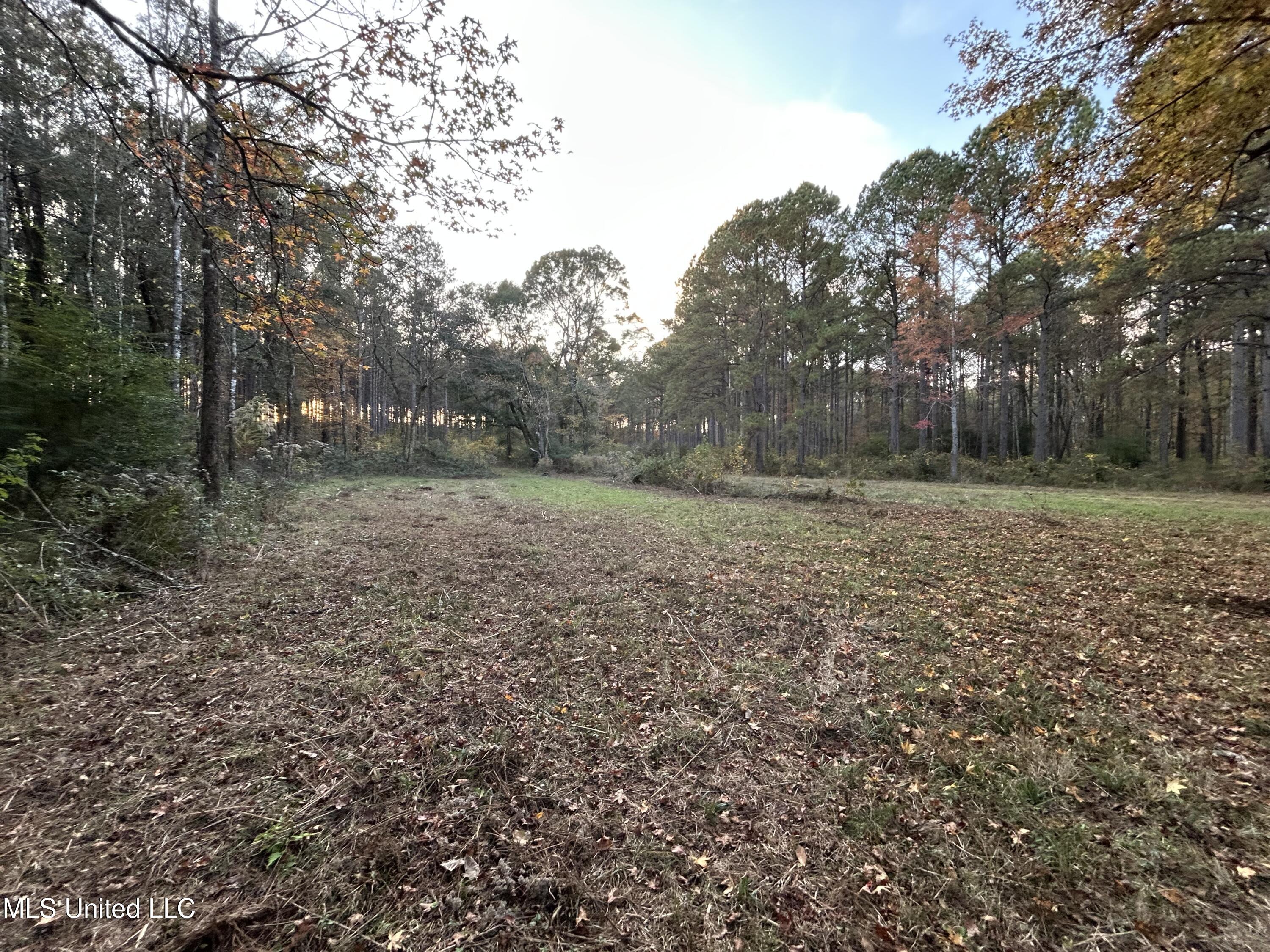 4024 Old Mill Road Osyka, MS 39657 - Photo 46 of 76 IMG_1138