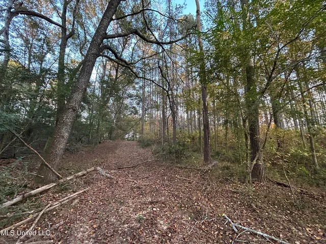 $350,000 | 4024 Old Mill Road, Osyka, MS 39657